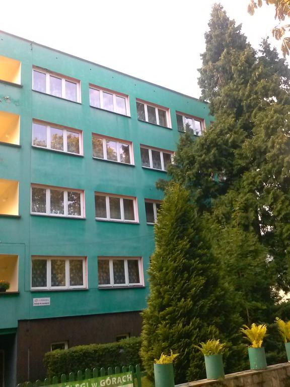 Pod Zielonym Kogutem Pansiyon Duszniki Zdrój Dış mekan fotoğraf